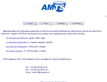 Tablet Screenshot of amts.fr